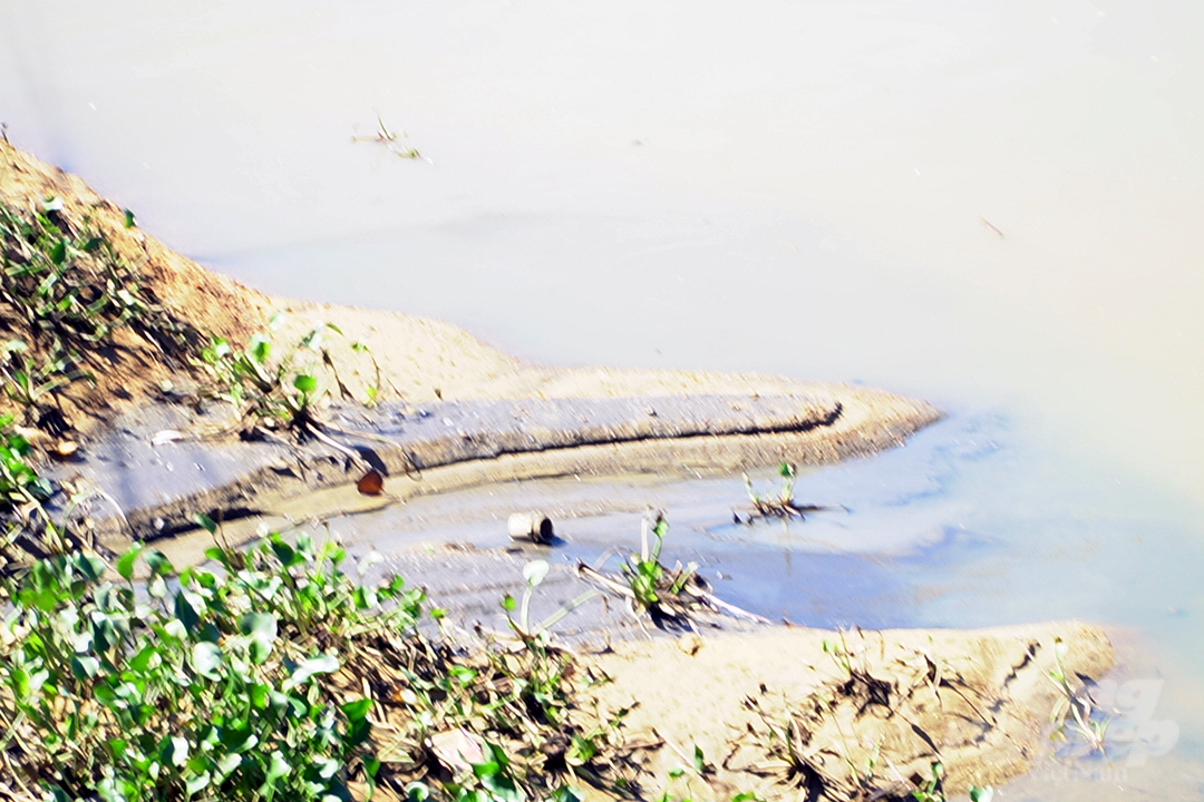 Công ty Đức Hiền đã xả thẳng nước thải độc hại ra sông Sa Lung. Ảnh: Võ Dũng.