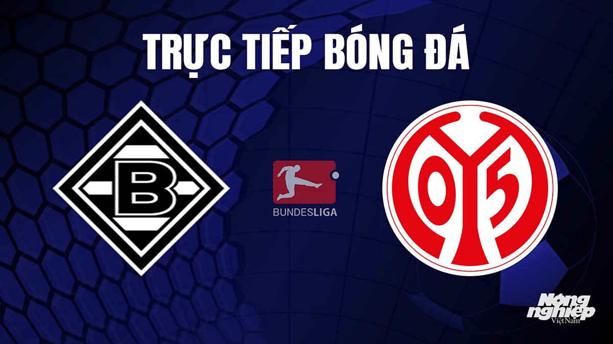 Trực tiếp bóng đá Bundesliga (VĐQG Đức) 2023/24 giữa Gladbach vs Mainz 05 hôm nay 7/10/2023