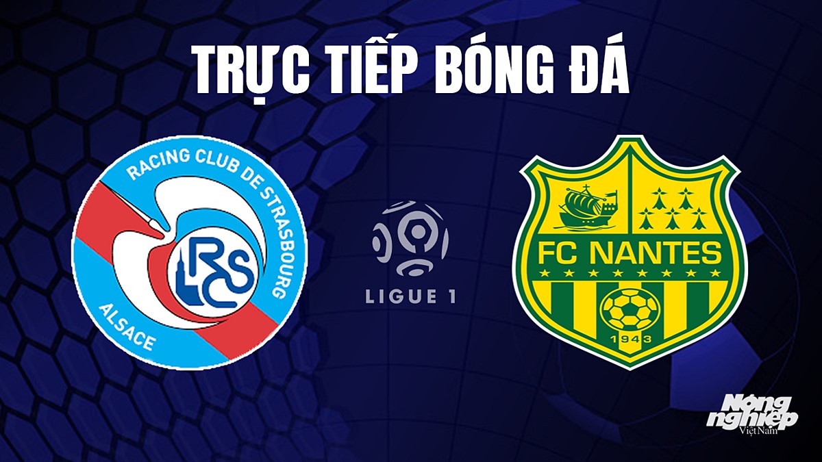 Trực tiếp bóng đá Ligue 1 (VĐQG Pháp) 2023/24 giữa Strasbourg vs Nantes hôm nay 7/10/2023