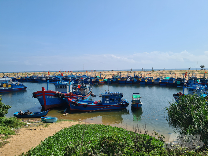 Resolutely do not let local fishing vessels engage in IUU fishing in foreign waters. Photo: Hong Tham.