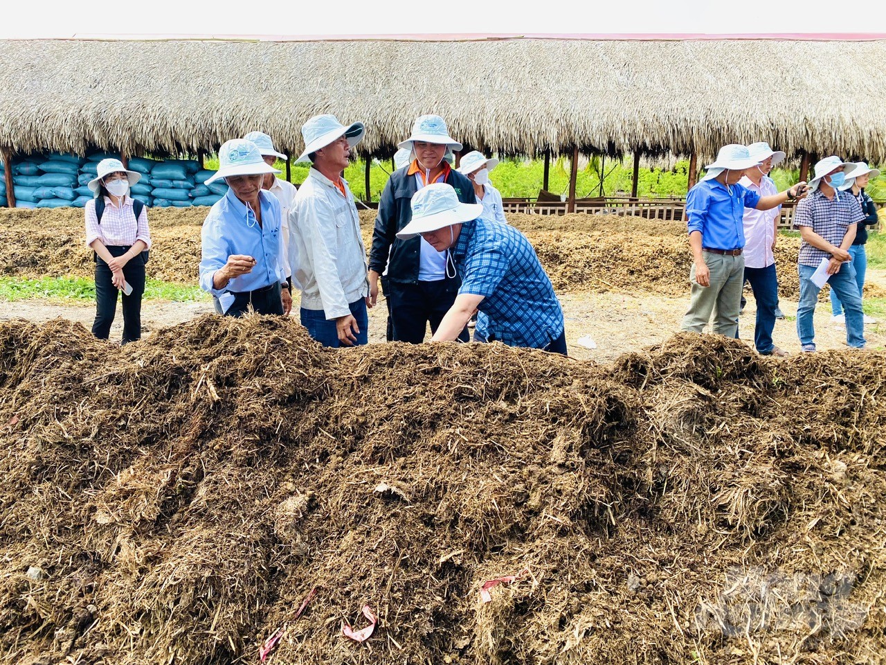 Circular agriculture models utilizing agricultural scrap and by-products in Vietnam are still not popular. Photo: LHV.