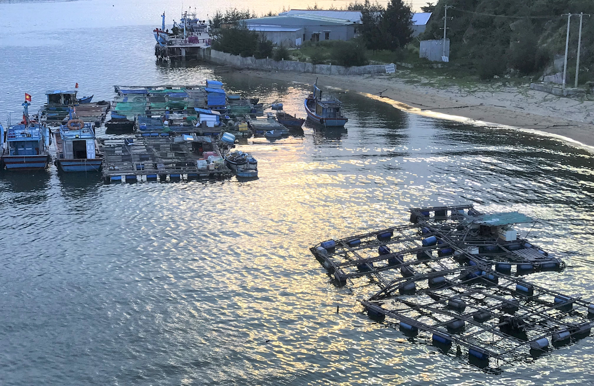 Vietnam currently has 500,000 hectares of water surface suitable for marine farming. Photo: V.D.T.