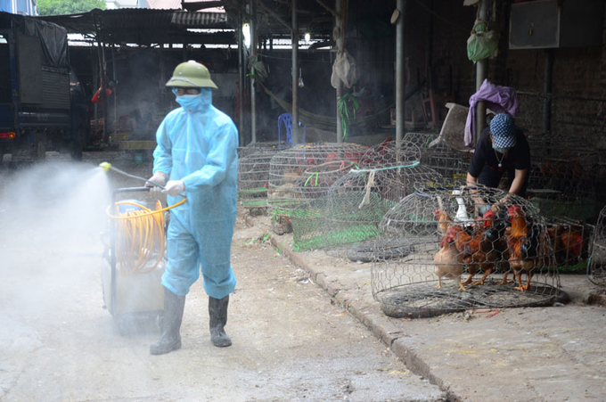 Bắc Ninh đồng loạt ra quân khử trùng, tiêu độc môi trường góp phần giảm nguy cơ bùng phát các ổ dịch trên đàn vật nuôi. Ảnh: PT.