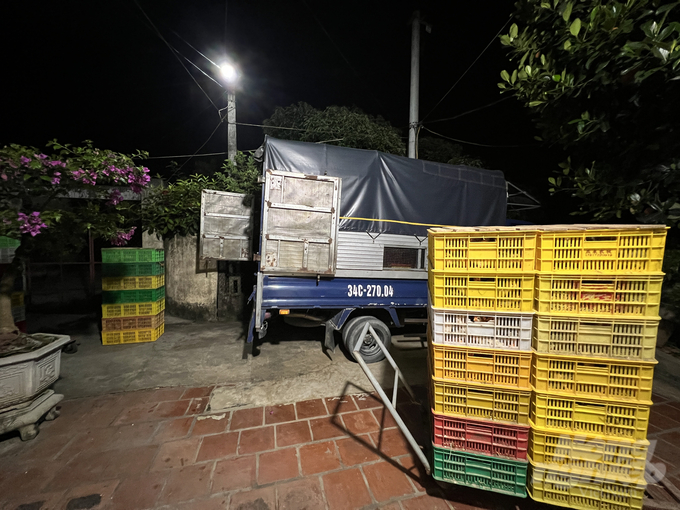 Thousands of Chinese chickens without vaccines or quarantine papers are about to be transported to the Dai Xuyen poultry wholesale market, Phu Xuyen district, Hanoi. Photo: Hung Khang.