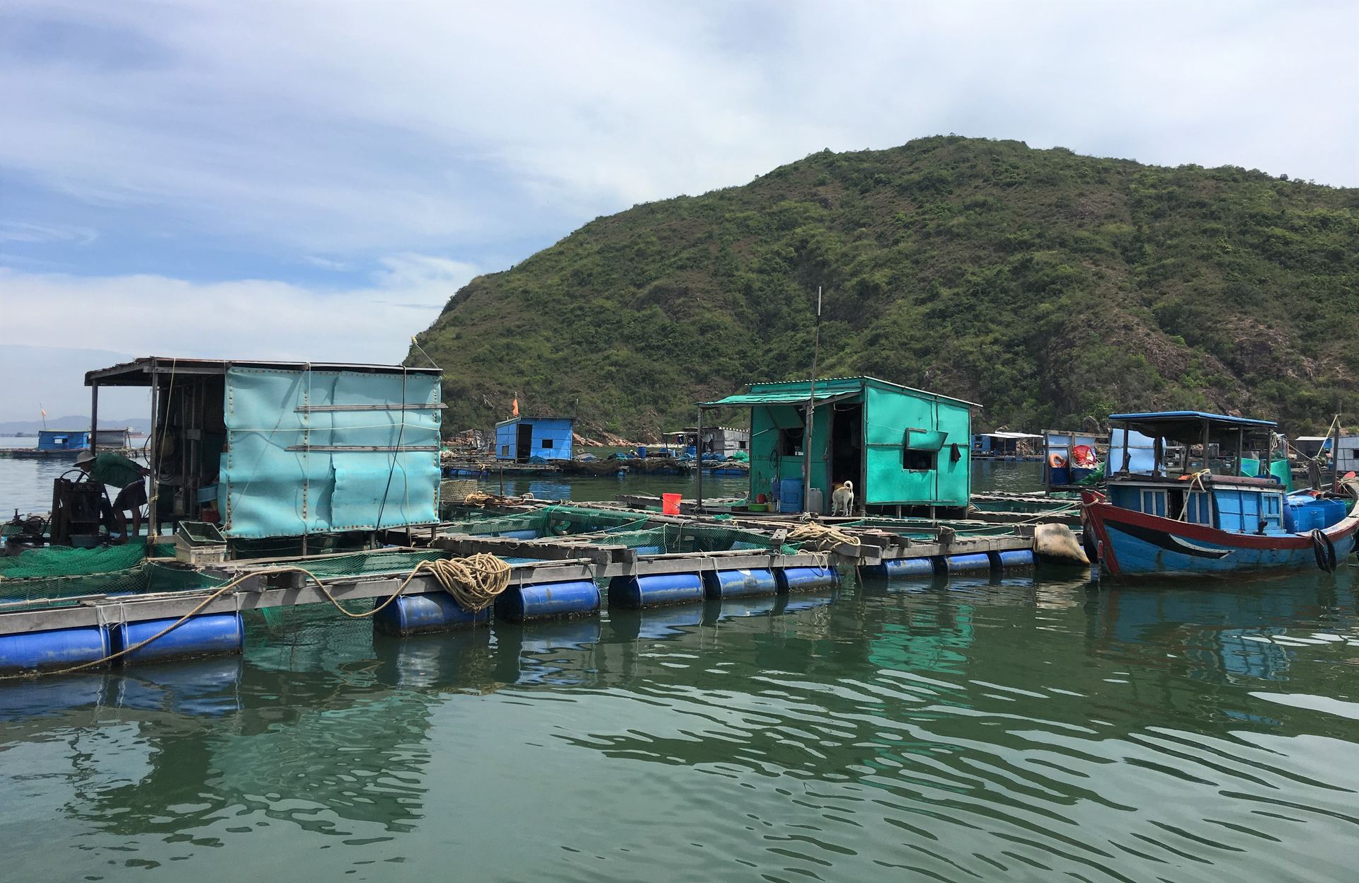 The sea area from Binh Dinh to Ninh Thuan a few dozen meters offshore is deep and has strong currents, making it possible to implement industrial marine farming models. Photo: V.D.T.