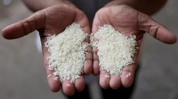 The surging rice prices were triggered by India, the world's largest rice exporter, which banned export of its crop amid increasing demand for rice as an alternative to wheat.  Photo: Reuters