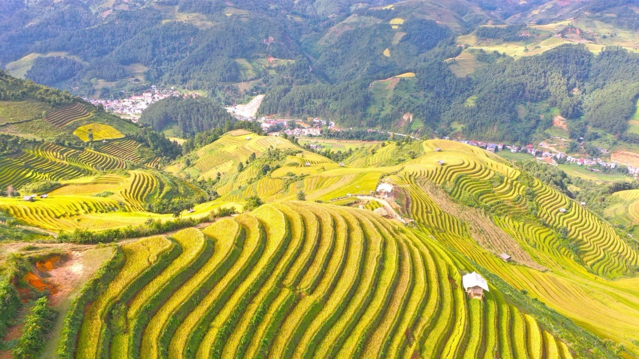 Mu Cang Chai golden terraced rice field is a national heritage. Photo: Thanh Tien.