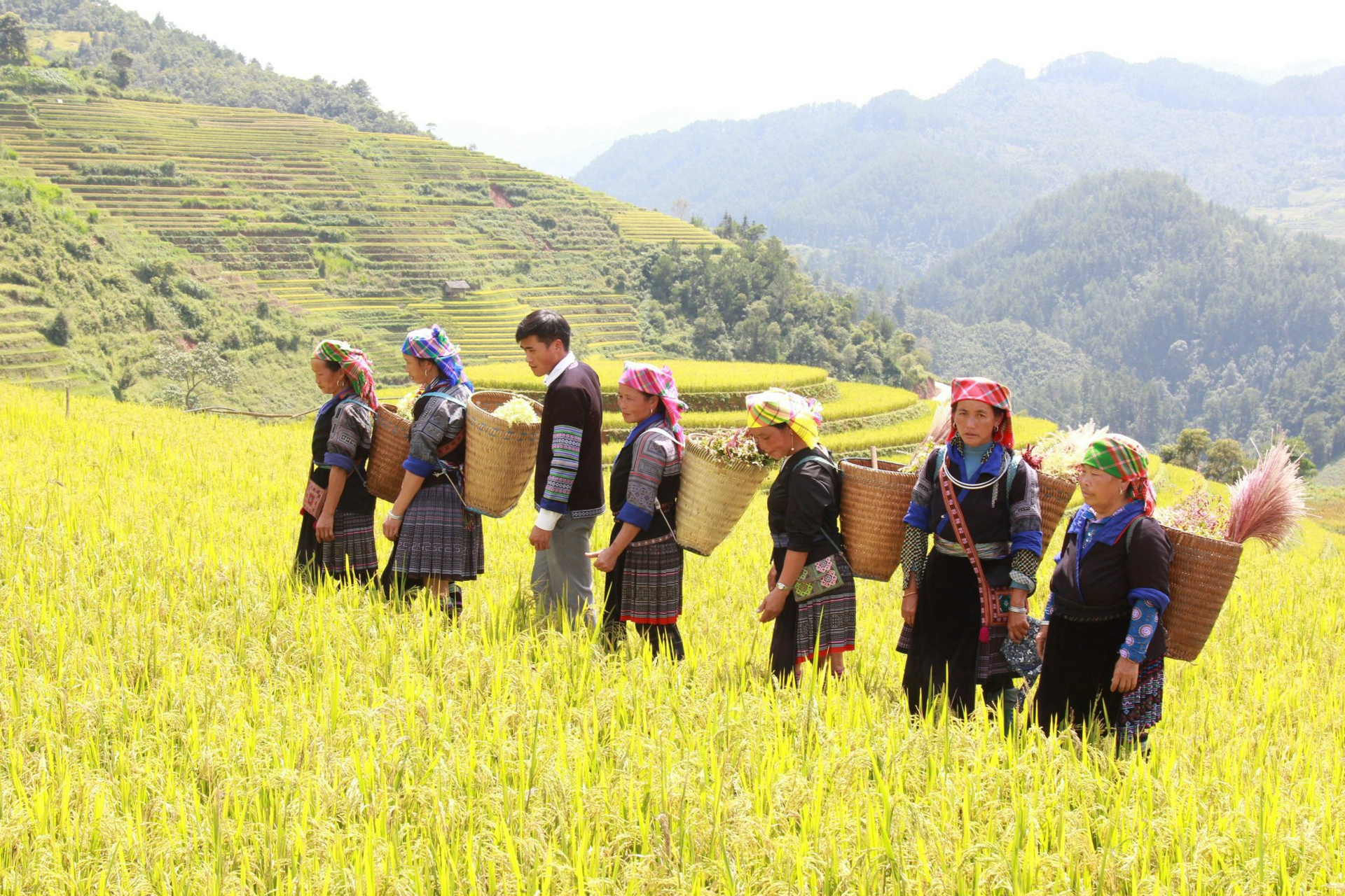 Besides a national symbol, the terraced rice fields represent Mong people's cultural identity. Photo: Thanh Tien.