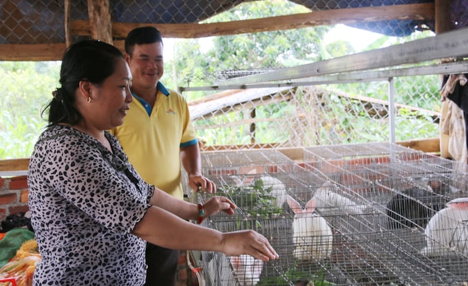 Chị Tuyết hướng dẫn cho người dân trong xã quy trình nuôi thỏ New Zealand. Ảnh: Quang Yên.