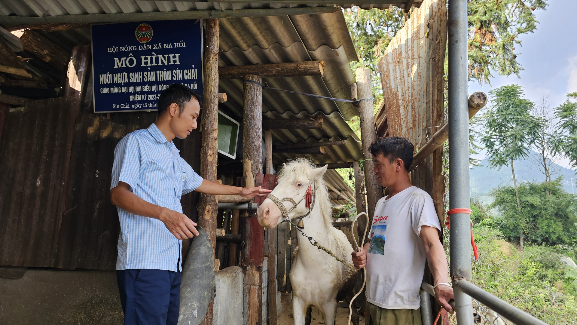 Ông Nông Văn Toàn (phải) với chú ngựa bạch của gia đình. Ảnh: H.Đ.