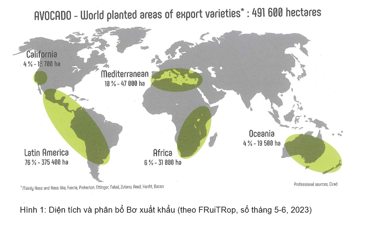 Avocado export area and distribution (based on FRuiTRop, May-June 2023 issue)