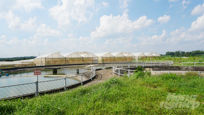 Trang trại rau của Việt Rau Farm rộng hơn 8,2ha chuyên trồng rau tiêu chuẩn GlobalGAP để xuất khẩu sang các nước châu Âu. Ảnh: Lê Bình.