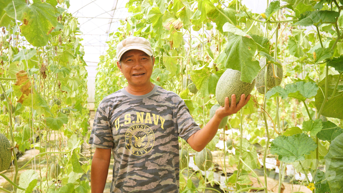 Thanks to his investments in modern greenhouses and net houses, Mr. Tam's farm provides high incomes and creates many job opportunities for local laborers. Photo: Le Binh.