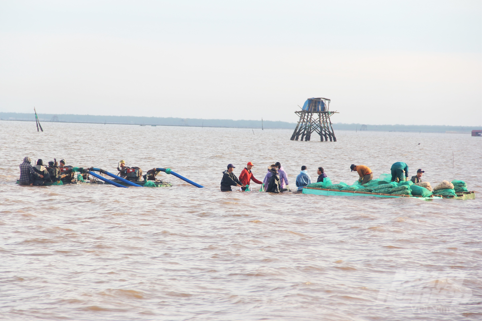 Tỉnh Ninh Bình quy định thu tiền sử dụng khu vực biển từ ngày 5/9/2023 đến hết ngày 31/12/2027. Ảnh: Trung Quân.