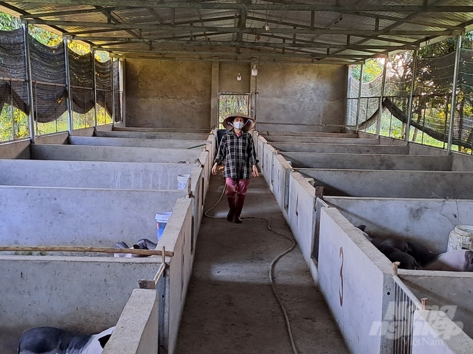 Ms Dang Thi Lien's family Mong Cai pig farm is more than 2 ha wide (Mong Cai city, Quang Ninh province). Photo: Cuong Vu.