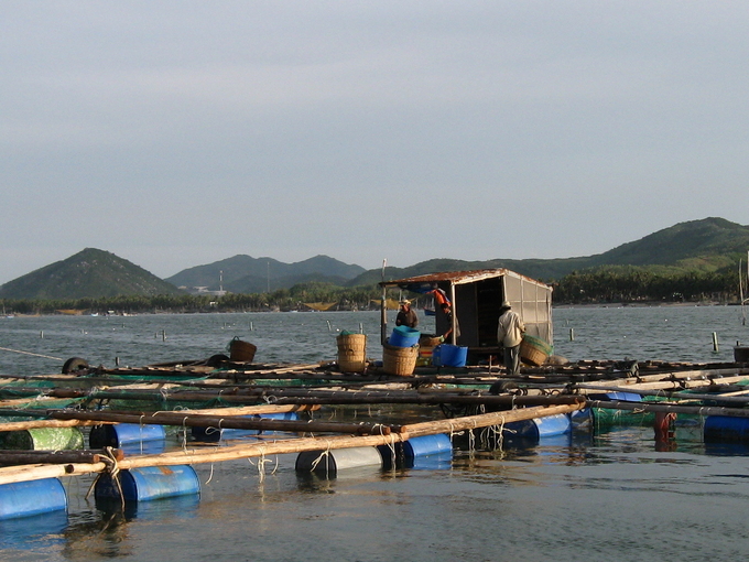 Trong phát triển nuôi biển công nghiệp, các địa phương cần chọn mô hình phù hợp, có thể chọn nuôi cá, trồng rong, nuôi bào ngư cùng với rong kết hợp du lịch. Ảnh: V.Đ.T.