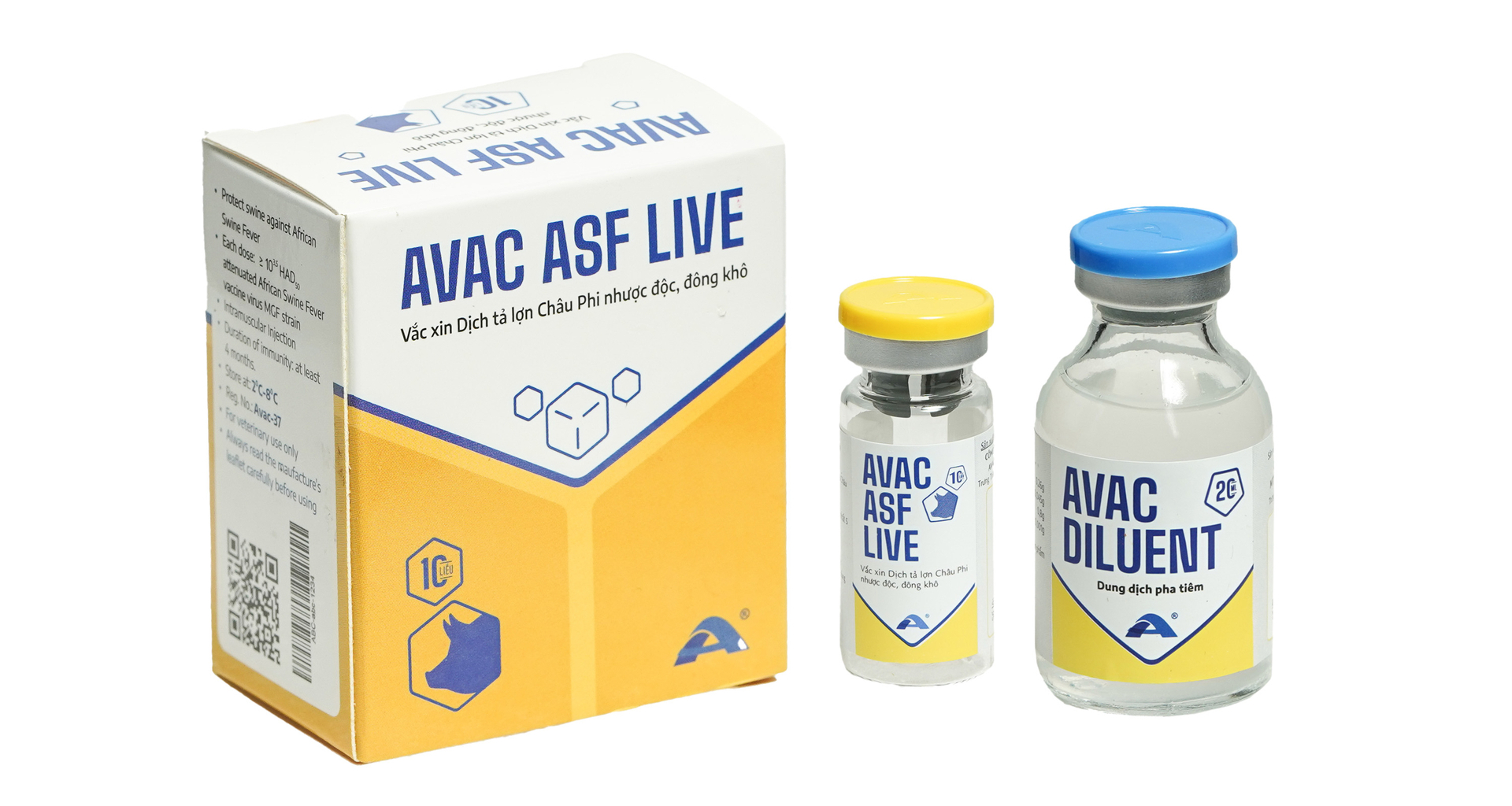 To date, over 1 million doses of the AVAC ASF LIVE vaccine have been used. Photo: AVAC.