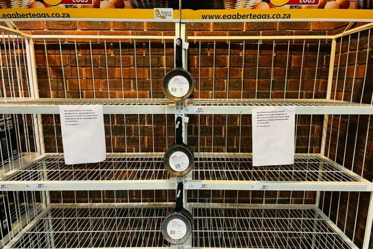 Supermarkets in South Africa, including Checkers pictured here, have run out of eggs or are limiting the number of eggs that consumers can purchase. Photos: Taylor Armstrong