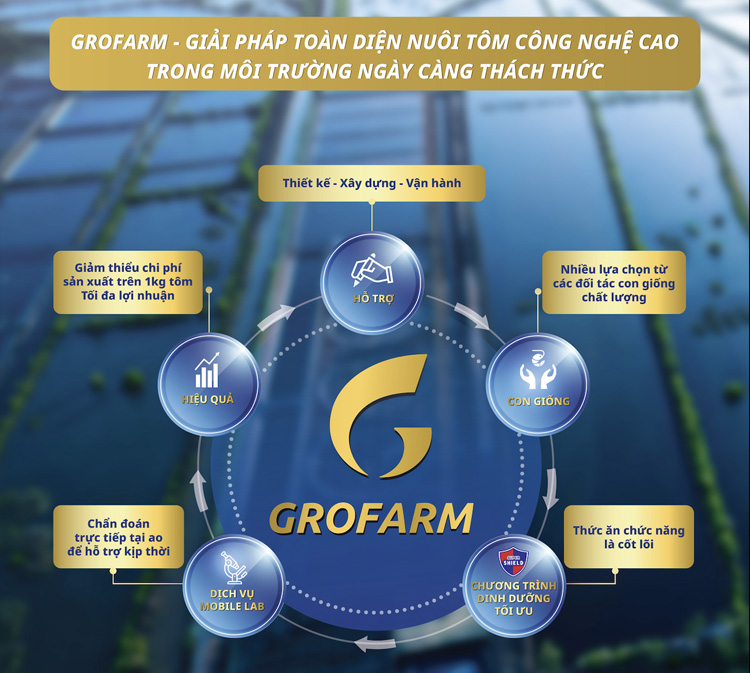 Mô hình GROFARM mang đến hệ sinh thái mở cho toàn chuỗi giá trị, giúp người nuôi giảm giá thành sản xuất trên 1kg tôm, với tỷ lệ thành công trên 85%. Ảnh: Grobest.