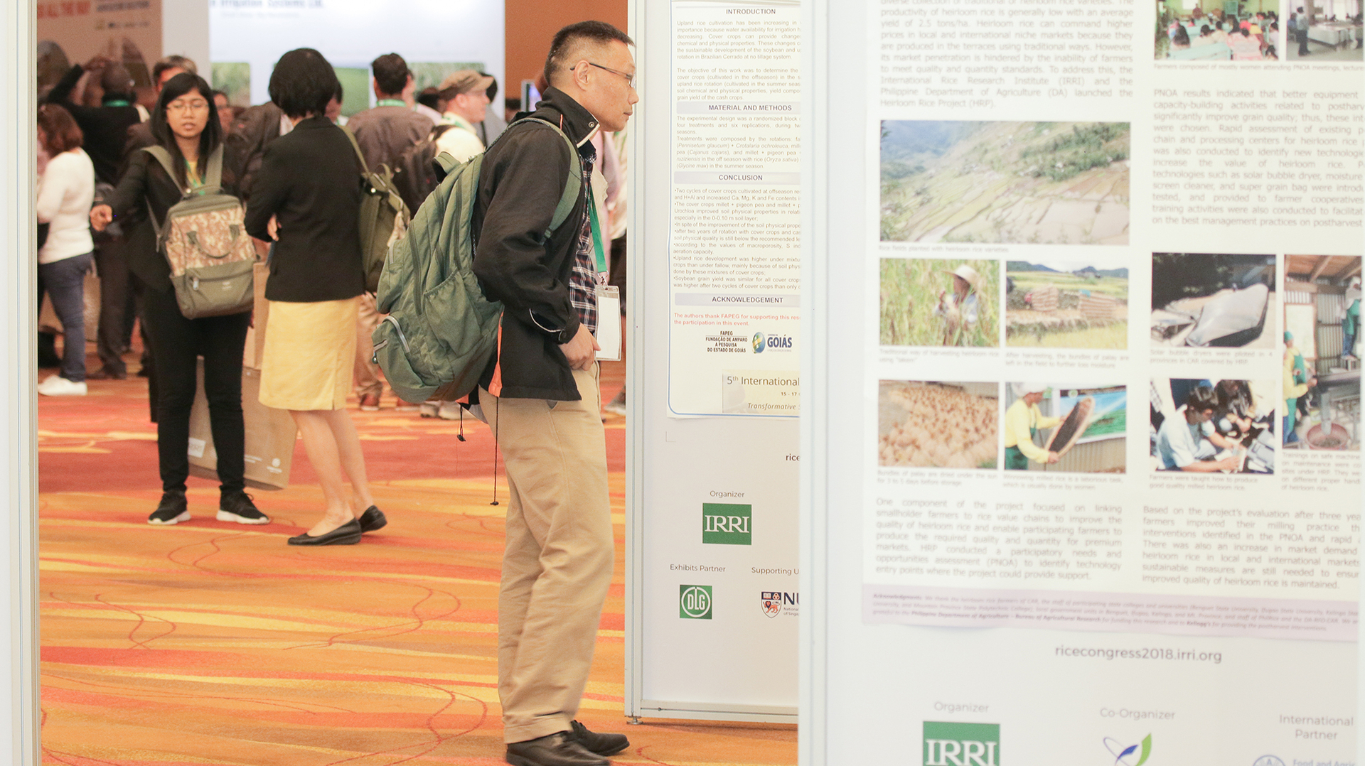 12 posters set up in the reception hall as exhibition panels. Photo: IRC.