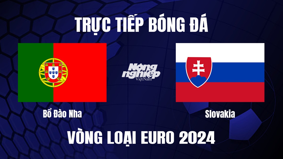 Trực tiếp bóng đá vòng loại Euro 2024 giữa Bồ Đào Nha vs Slovakia hôm nay 14/10/2023