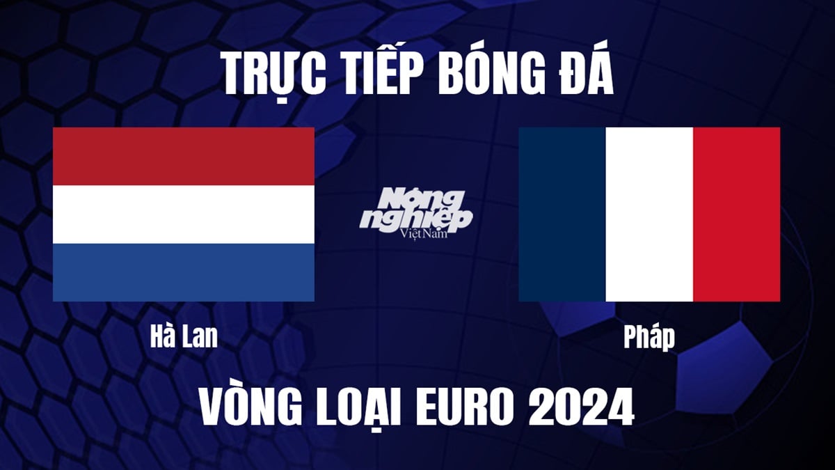 Trực tiếp bóng đá vòng loại EURO 2024 giữa Hà Lan vs Pháp hôm nay 14/10/2023