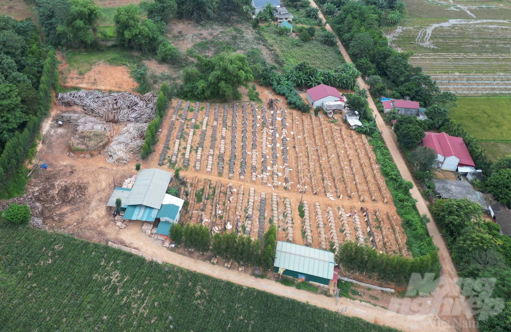Cơ sở chế biến gỗ keo tại xã Thành Tâm, huyện Thạch Thành. Ảnh: ĐT.