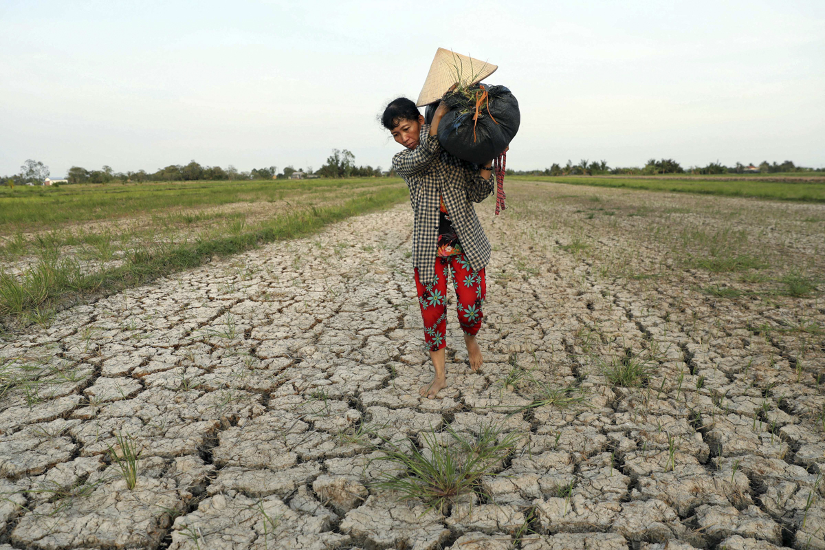 Mekong Delta drought in 2015. Photo: VnE.