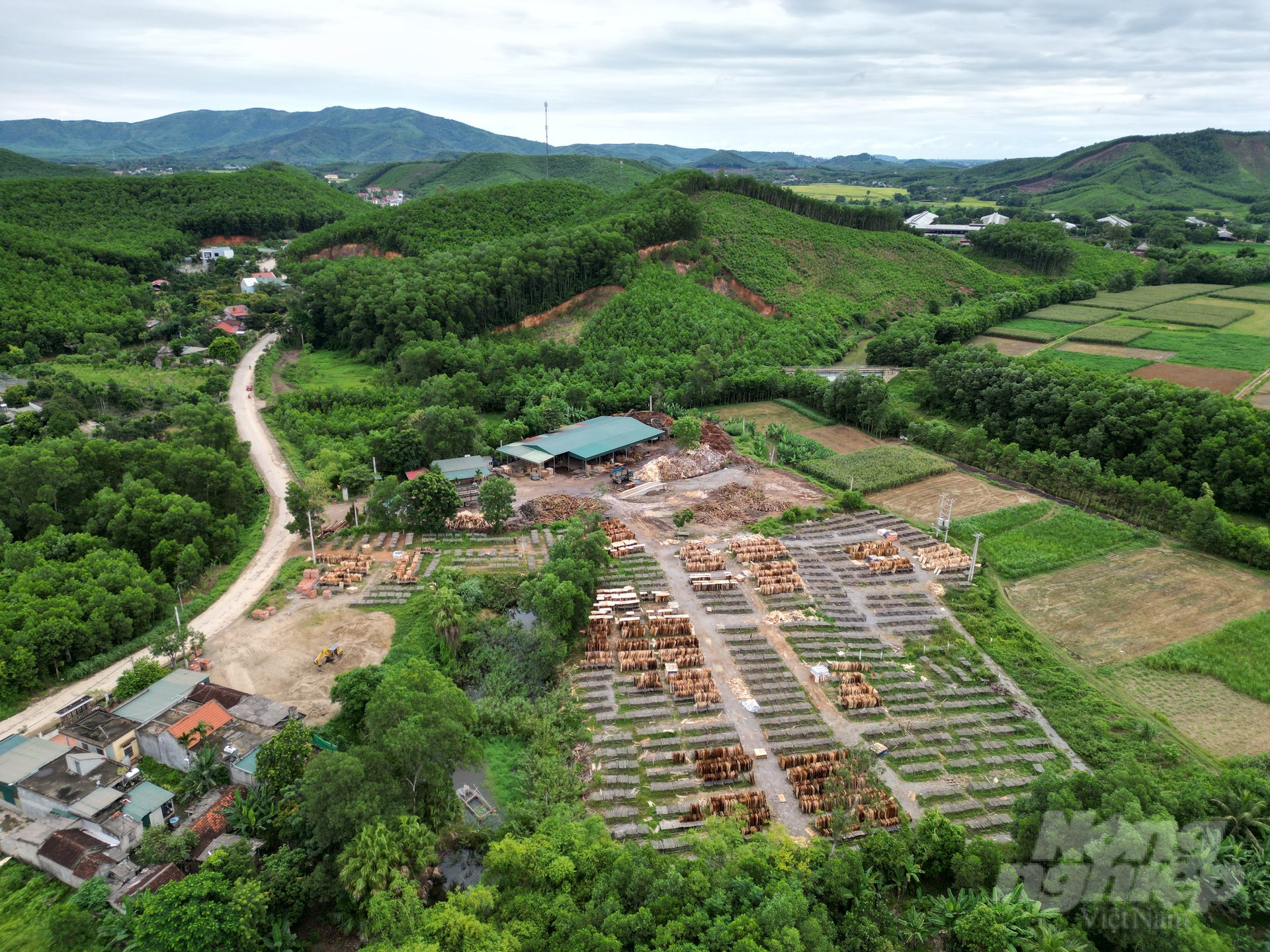 Cơ sở thu mua, chế biến gỗ keo của Công ty TNHH sản xuất chế biến lâm sản Tân Tiến (khu phố Hải Tiến), huyện Như Thanh, Thanh Hóa. Ảnh: ĐT.