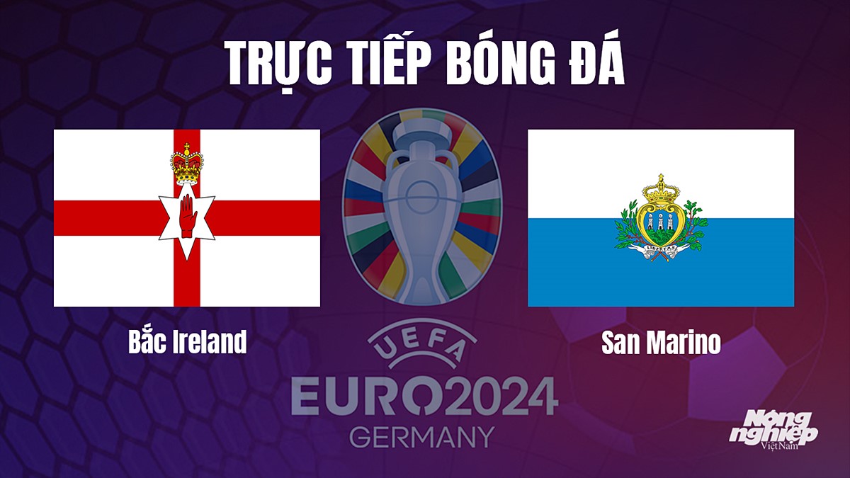 Trực tiếp bóng đá vòng loại Euro 2024 giữa Bắc Ireland vs San Marino hôm nay 14/10/2023