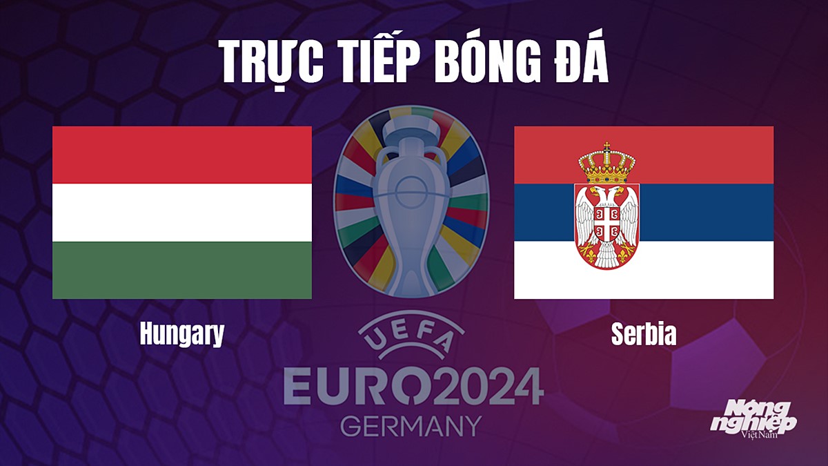 Trực tiếp bóng đá vòng loại Euro 2024 giữa Hungary vs Serbia hôm nay 15/10/2023