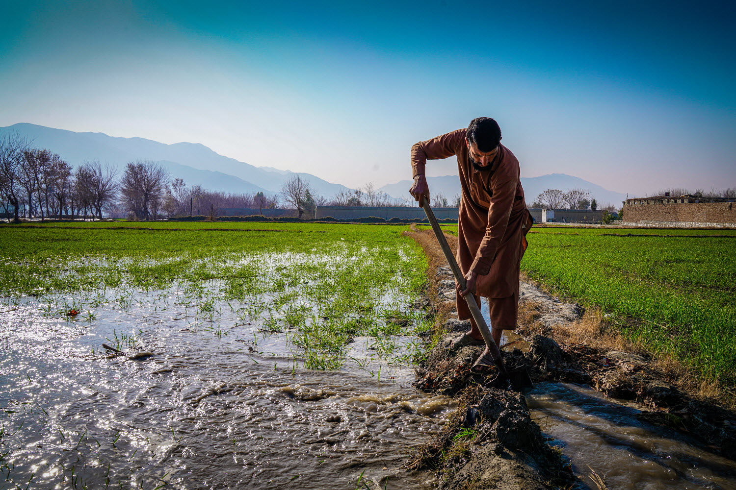 A farmer irrigating his wheat fields in Kama district, Afghanistan.