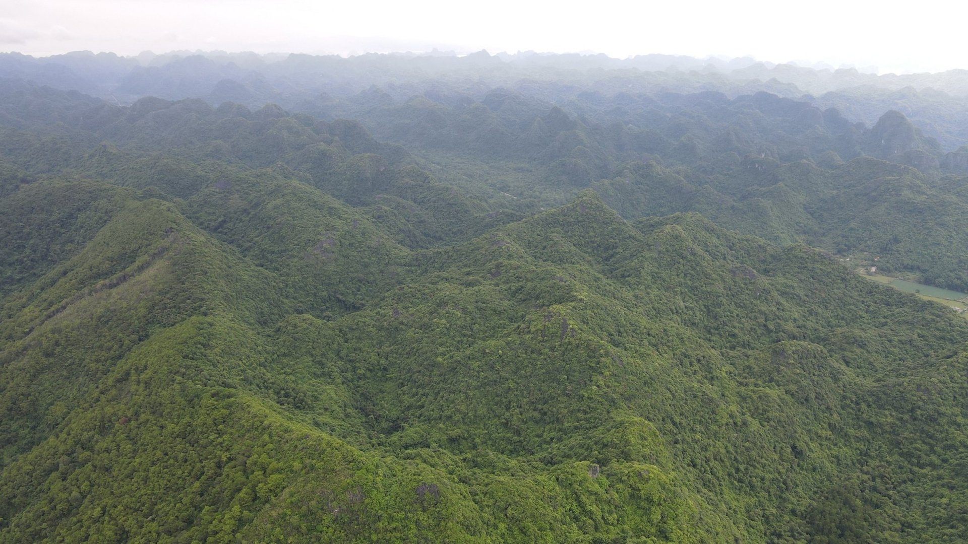 Vườn quốc gia Cát Bà đã được UNESCO công nhận là Khu dự trữ sinh quyển thế giới. Ảnh: Nhật Quang.