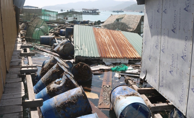 Due to storms No. 12 and 9, many marine farming households suffered tremendous losses. Photo: Kim So.