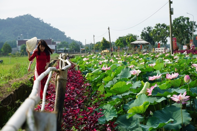 Du lịch nông nghiệp - điểm nhấn trong xây dựng NTM tỉnh Đồng Nai. Ảnh: Trần Trung.