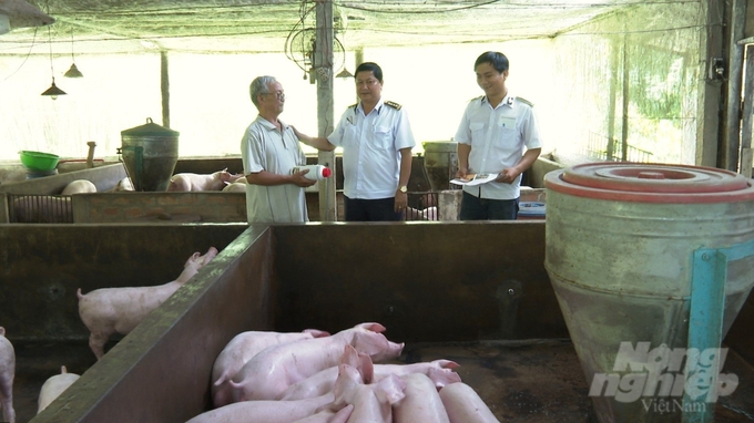 Chi cục Chăn nuôi và Thú y tỉnh Sóc Trăng tăng cường hướng dẫn các hộ nuôi sản xuất chăn nuôi an toàn sinh học, tránh tái đàn ồ ạt khi giá heo hơi giảm. Ảnh: Kim Anh.