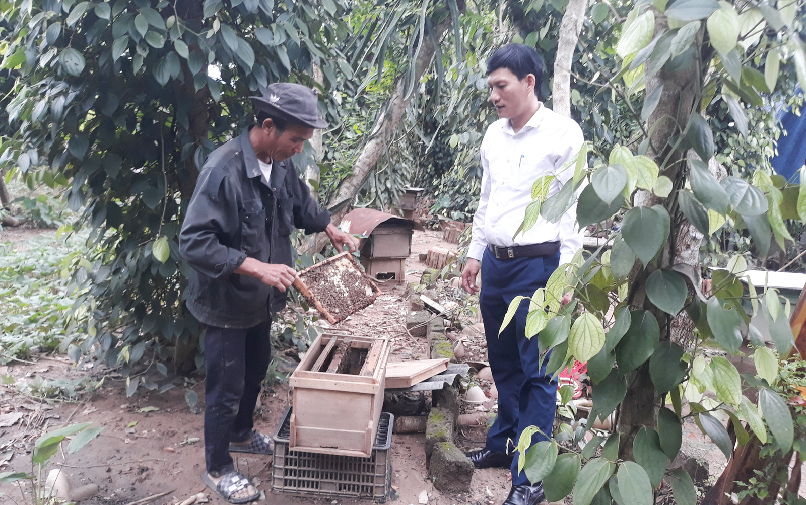 Ông Trần Đại Nghĩa, Chủ tịch Hội Nông dân xã Trường Xuân (bên phải), đang trao đổi kinh nghiệm nuôi ong rừng với ông Trần Văn Thuận. Ảnh: C. Nghĩa.