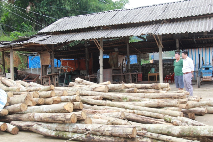 Ngoài bãi gỗ nguyên liệu tồn đọng, trong xưởng máy móc dừng hoạt động. Ảnh: Thanh Tiến.