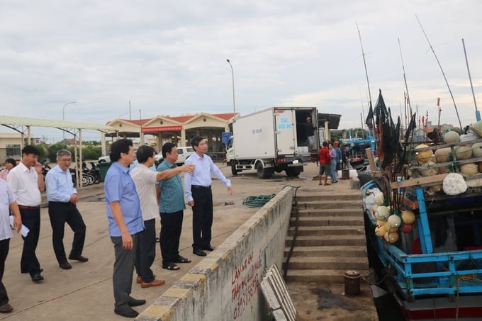 Phu Yen province has actively engaged in a determined effort to implement the European Commission's recommendations regarding IUU fishing. Photo: KS.