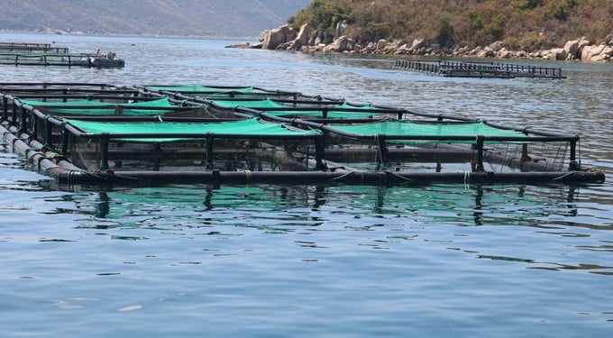 A corner of RIA1’s high-tech marine farming center. Photo: KS.