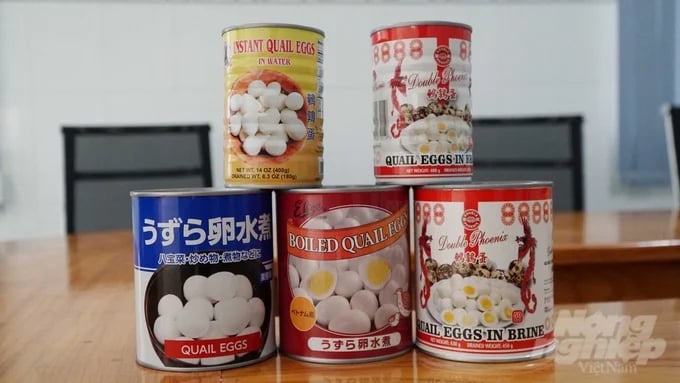 Quail egg products of Vuong Gia Hung Thinh Co., Ltd. are exported in dozens of containers to Japan, America, and Australia... every month. Photo: Le Binh.