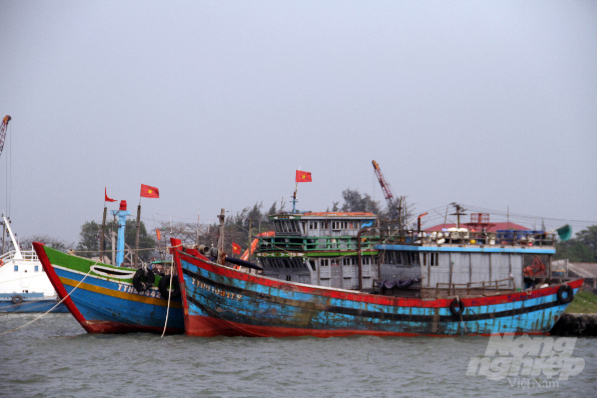 Toàn bộ 2.062 tàu thuyền cùng 1.350 lao động của tỉnh Thừa Thiên - Huế đã vào bờ neo đậu an toàn. Ảnh: CĐ.