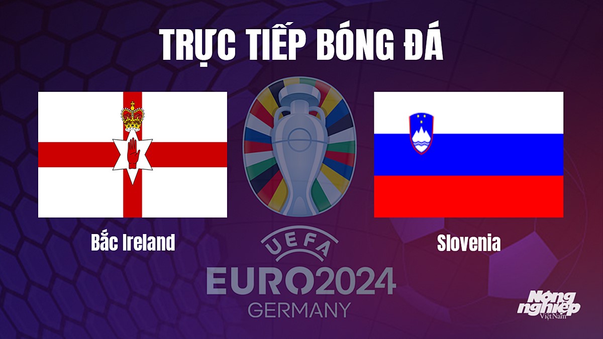 Trực tiếp bóng đá vòng loại Euro 2024 giữa Bắc Ireland vs Slovenia hôm nay 18/10/2023