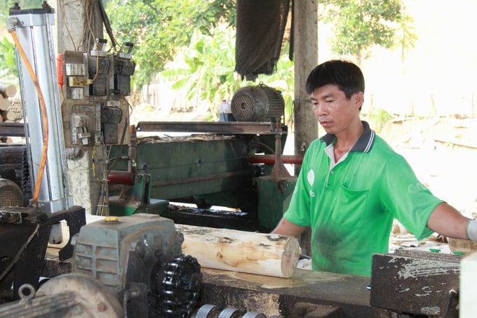 Phần lớn các cơ sở sản xuất, chế biến gỗ rừng trồng tại tỉnh Yên Bái có công nghệ chế biến còn lạc hậu, quy mô nhỏ lẻ. Ảnh: Thanh Tiến.
