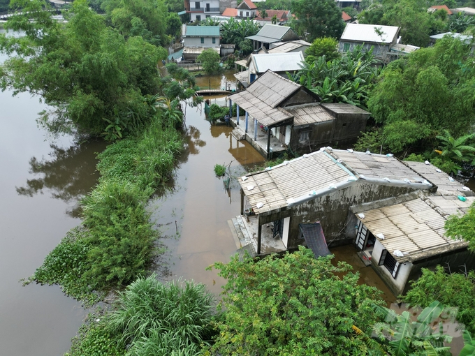 Nằm cách trị trấn Sịa không xa nhưng bao năm nay, cứ hễ mưa là 52 hộ dân của xóm Đảo (thôn Thủ Lễ 2, xã Quảng Phước, huyện Quảng Điền, tỉnh Thừa Thiên Huế) lại ngập ngụa trong nước lụt. 