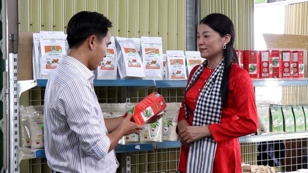 Ms. Nguyen Kim Nhien, Director of Kim Nhien Agricultural Product Processing Co., Ltd., introduced the company’s OCOP products at the display point on the Cai Rang Floating Market. Photo: Kim Anh.