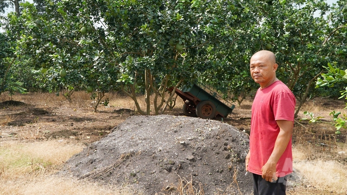 Phân thô sau khi được ép khô có thể bán cho các công ty để sản xuất phân bón hoặc tiếp tục ủ, bón cho cây trồng. Ảnh: Lê Bình.