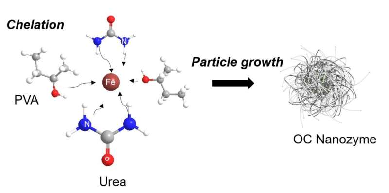 Illustrated Conceptualization of the OC nanozyme. Credit: Nanoscale (2023). DOI: 10.1039/D3NR02025H