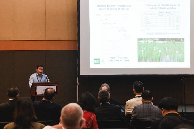 Mr. Tran Ngoc Thach, Director of the Cuu Long Delta Rice Research Institute, presenting at the workshop. Photo: Quynh Chi.