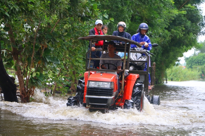 Người dân ở các xã vùng trũng huyện Quảng Điền phải di chuyển bằng xe công nông để trở về nhà sau khi dời để phòng tránh mưa lụt.